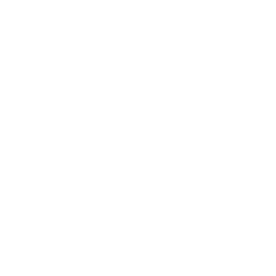 Lupin Limited